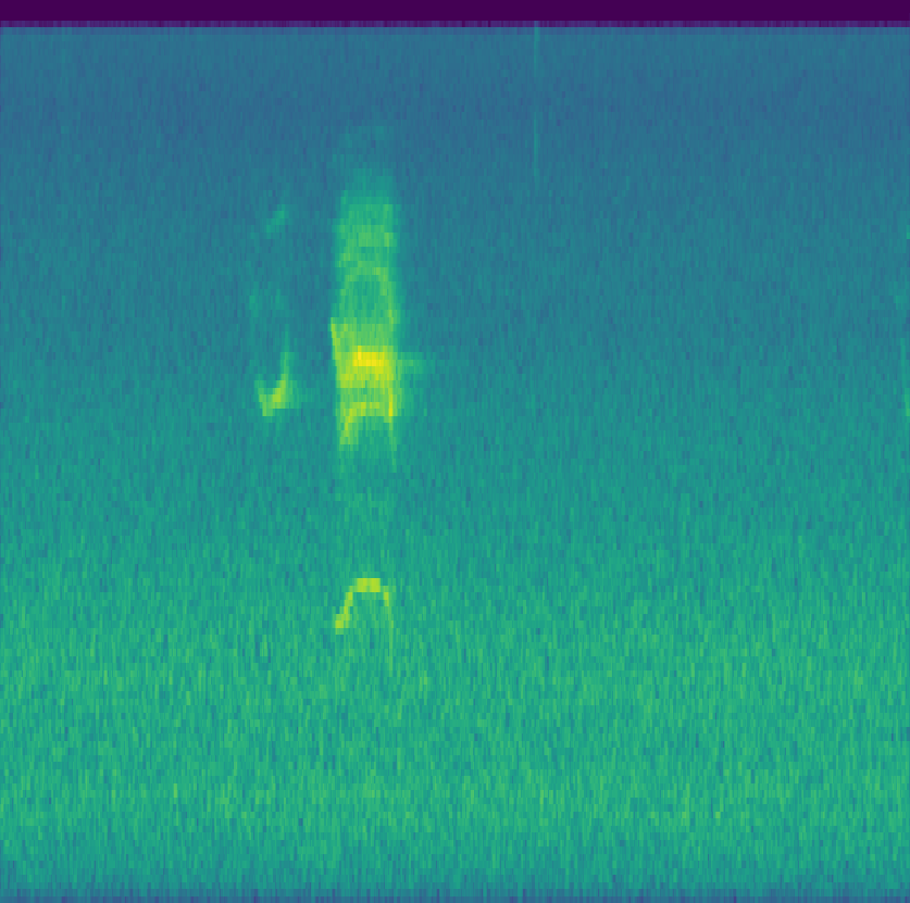Bubo virginianus mel-spectrogram sample